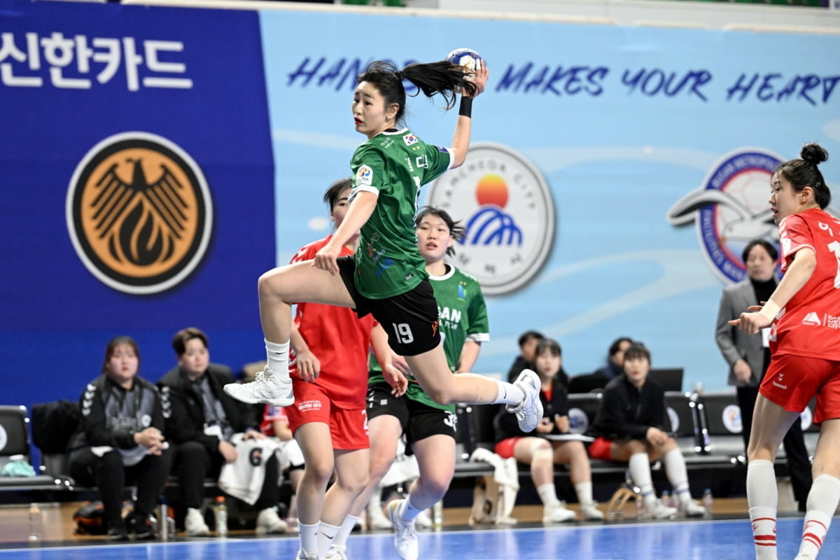 青岛vs北控前瞻：乔丹·米奇迎常规赛首秀，北控期待延续势头